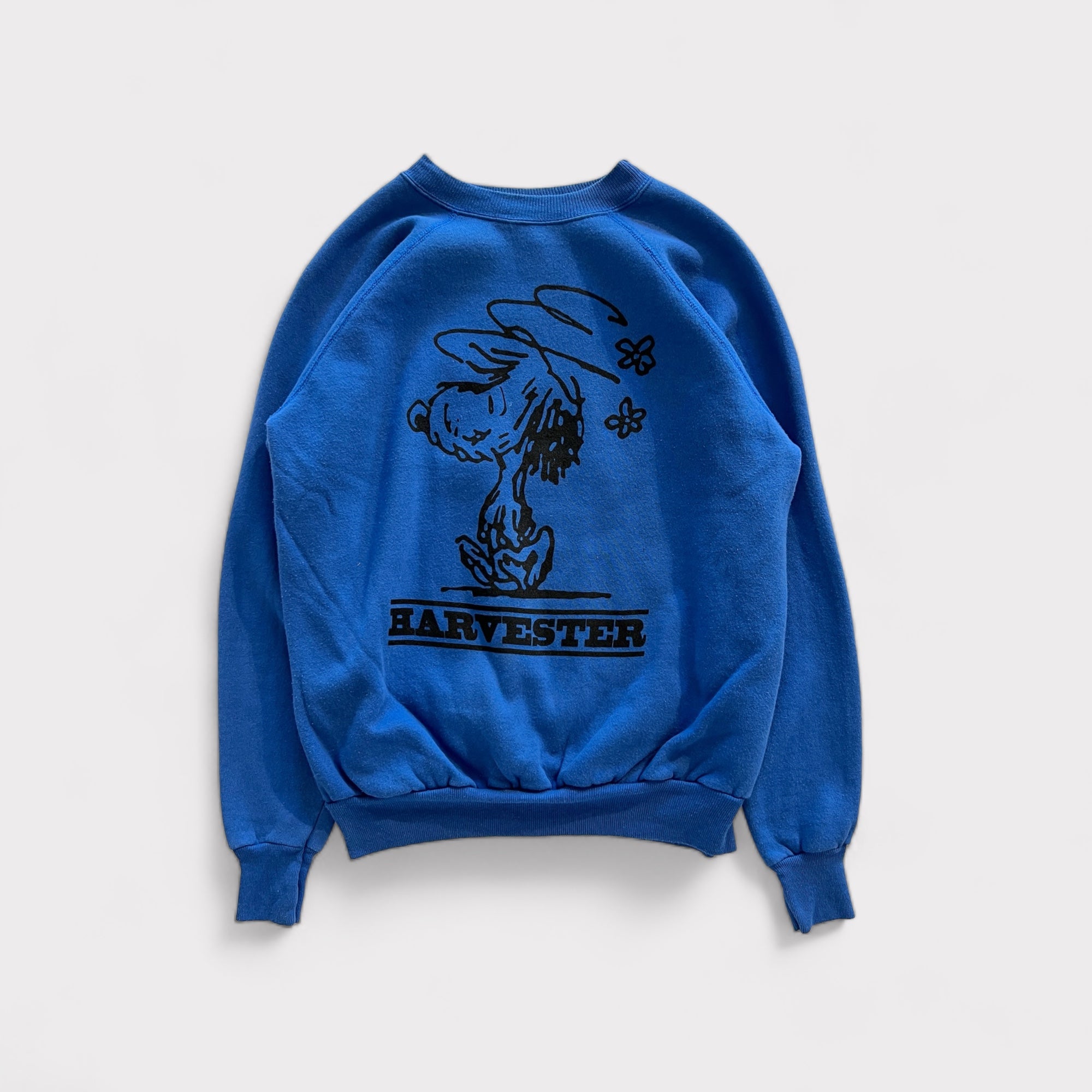 Walnuts “Auggie” Sweatshirt - BLUES
