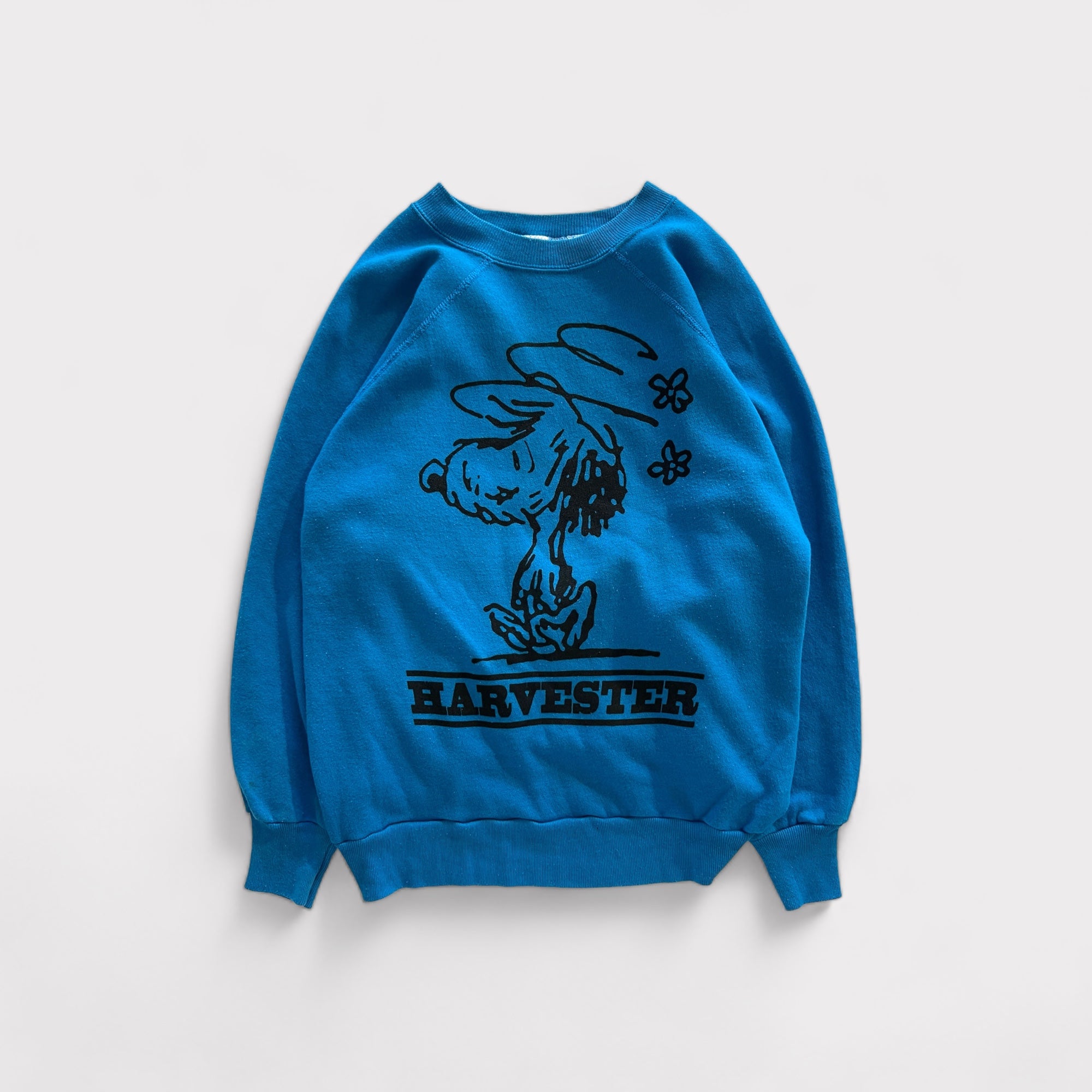 Walnuts “Auggie” Sweatshirt - BLUES