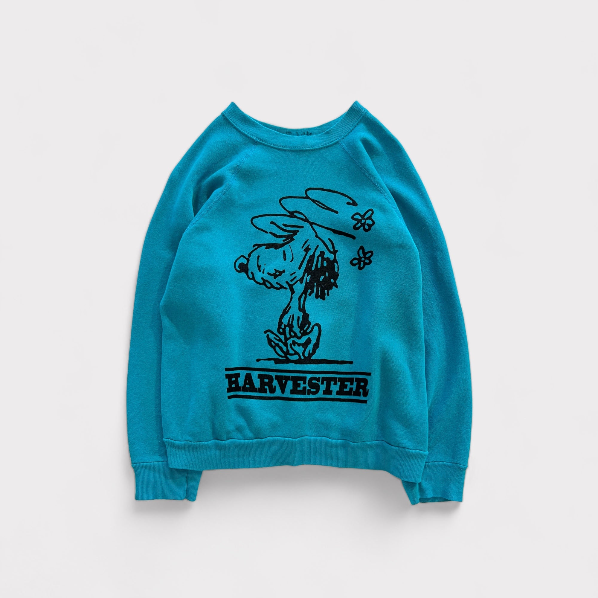 Walnuts “Auggie” Sweatshirt - CYANS
