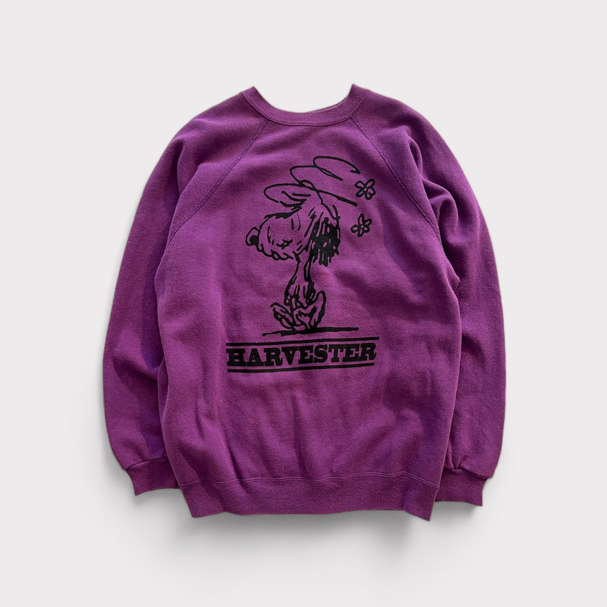 Walnuts “Auggie” Sweatshirt - PURPLES