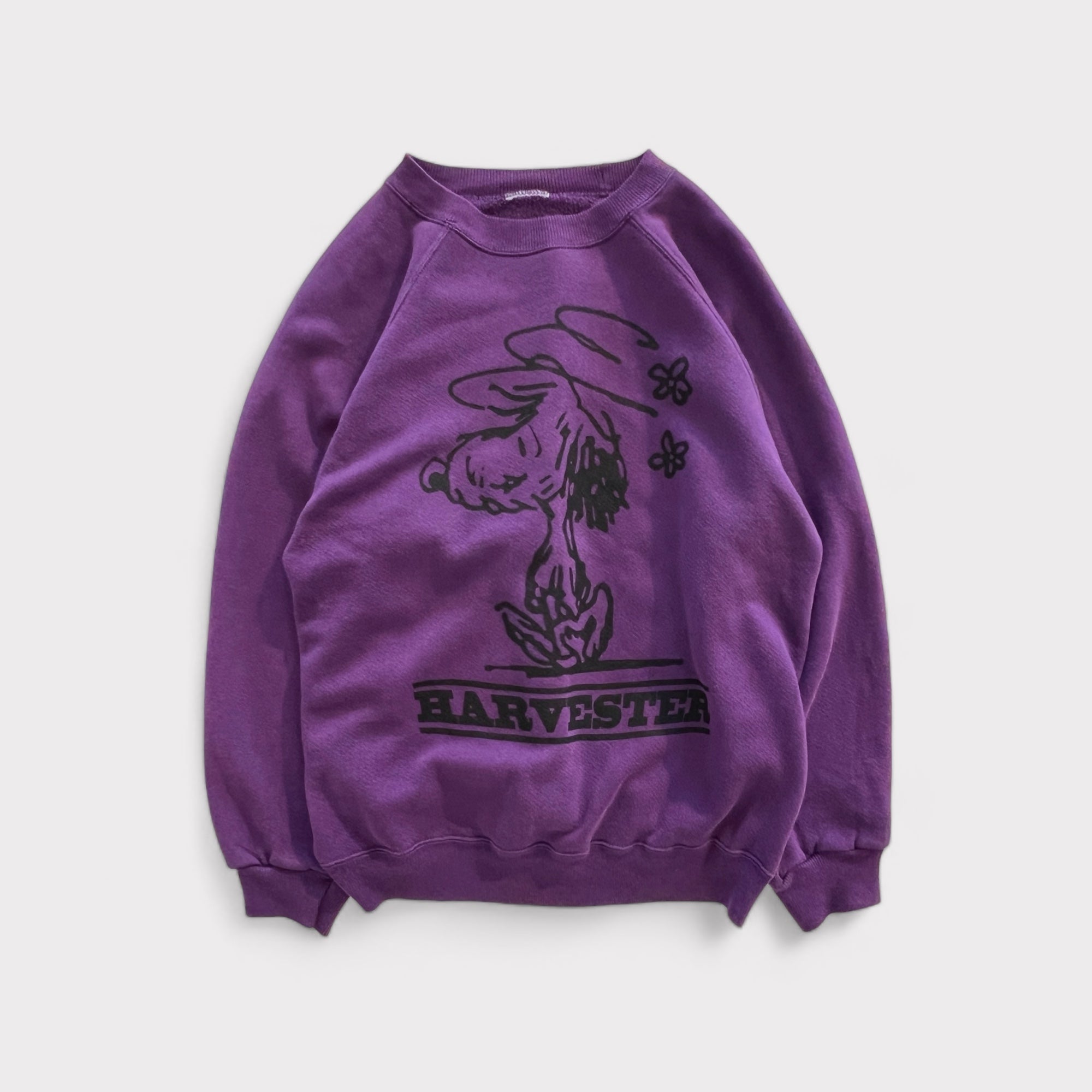 Walnuts “Auggie” Sweatshirt - PURPLES