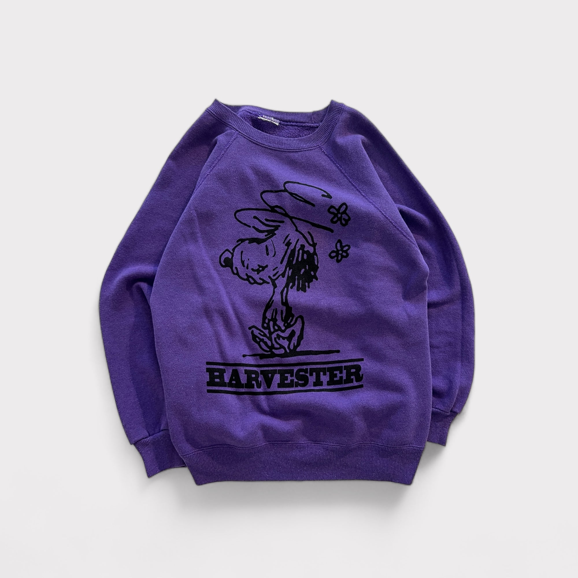 Walnuts “Auggie” Sweatshirt - PURPLES