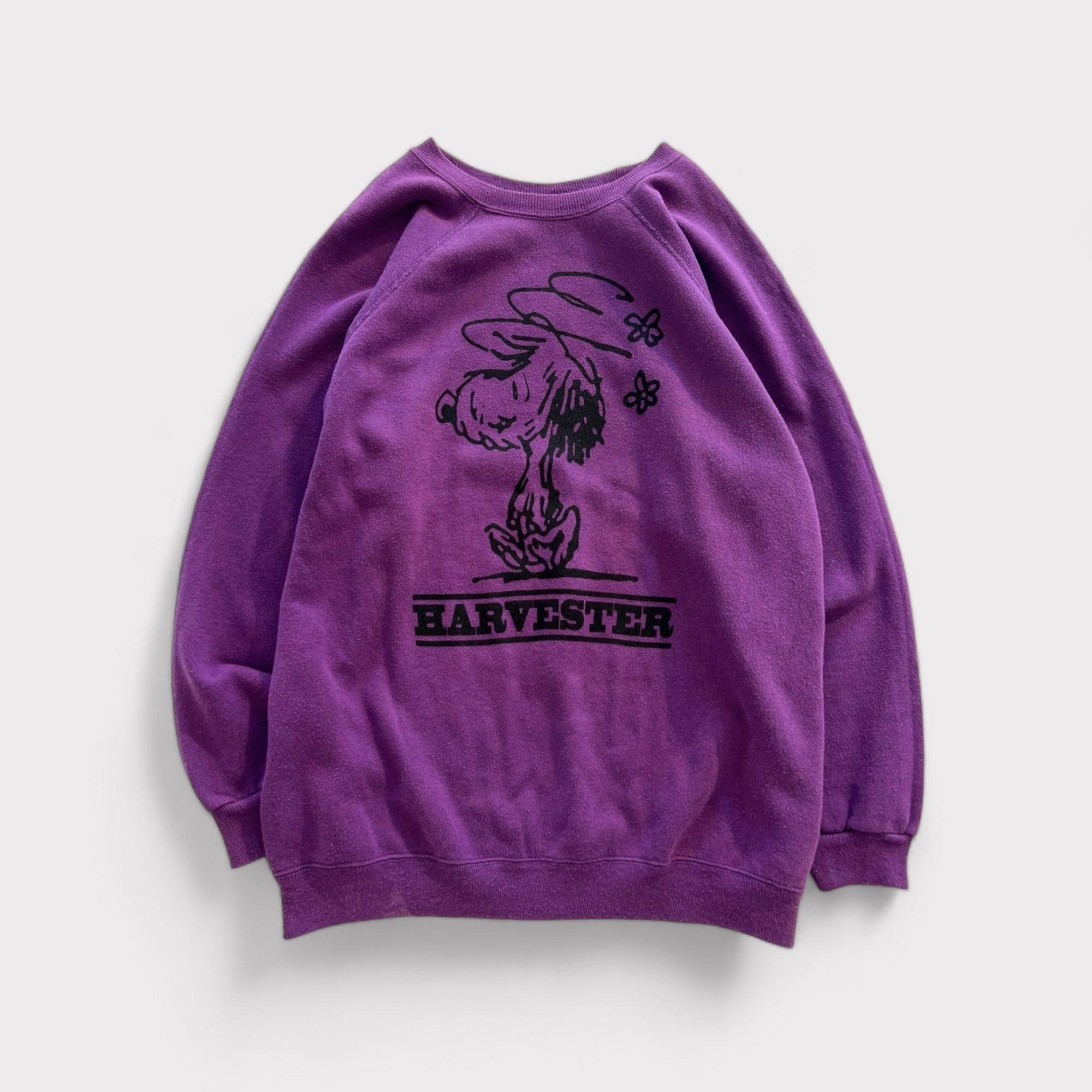 Walnuts “Auggie” Sweatshirt - PURPLES